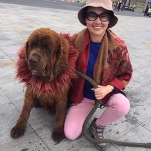 Meet your Posher, Jinping